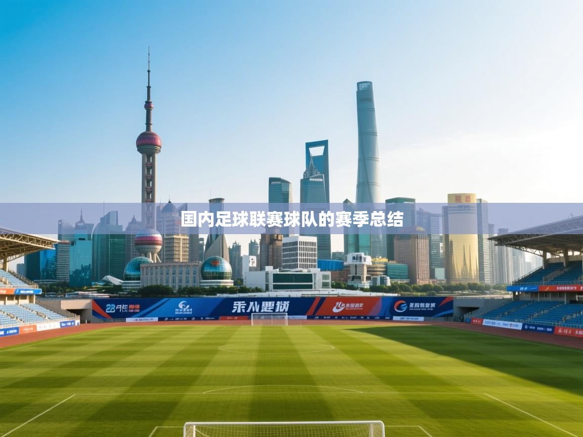 国内足球联赛球队的赛季总结 第2张