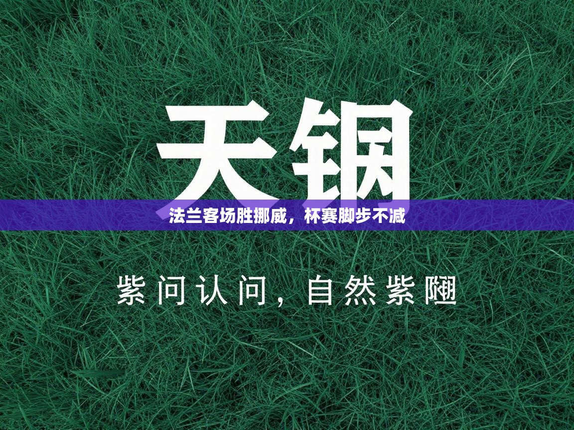 法兰客场胜挪威，杯赛脚步不减  第2张